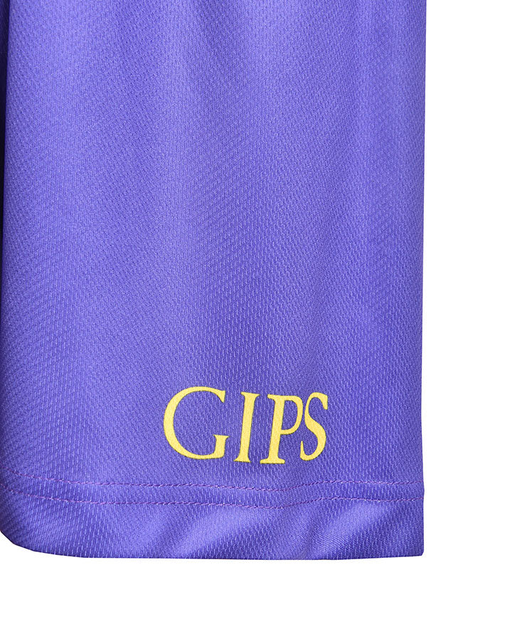 Sublimated Basketball Mesh Shorts
