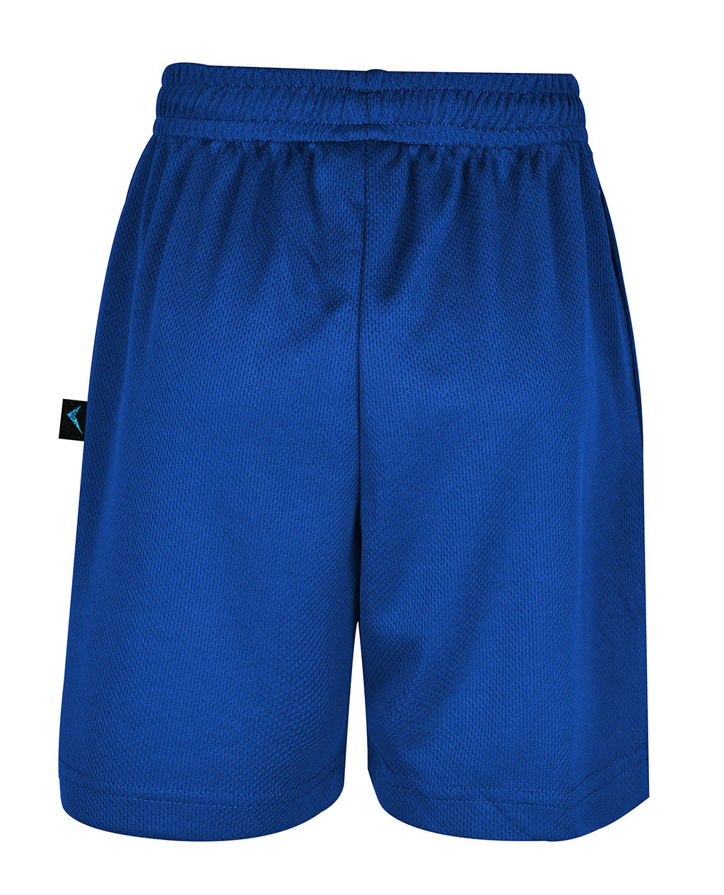 Mesh Sport Shorts