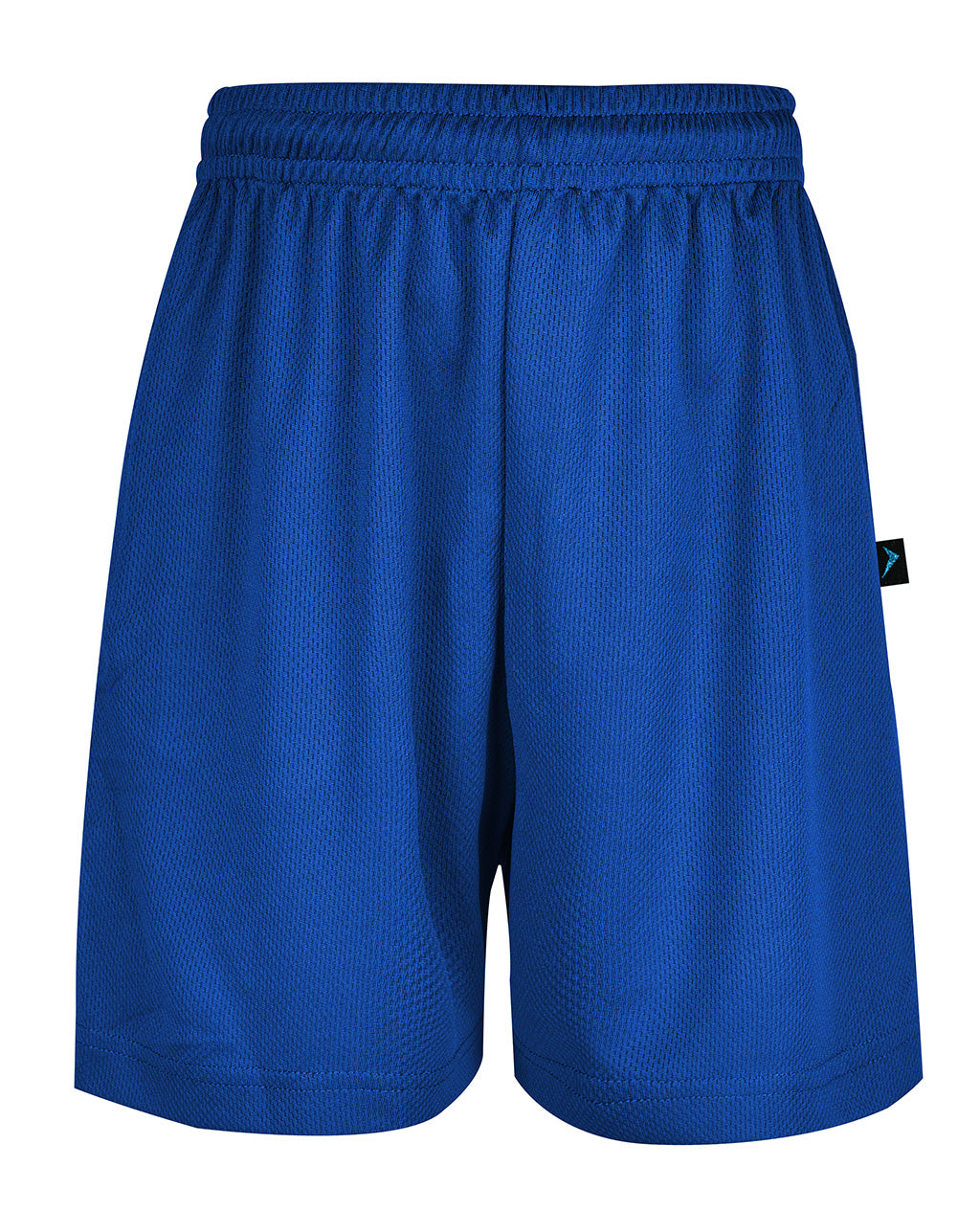 Mesh Sport Shorts