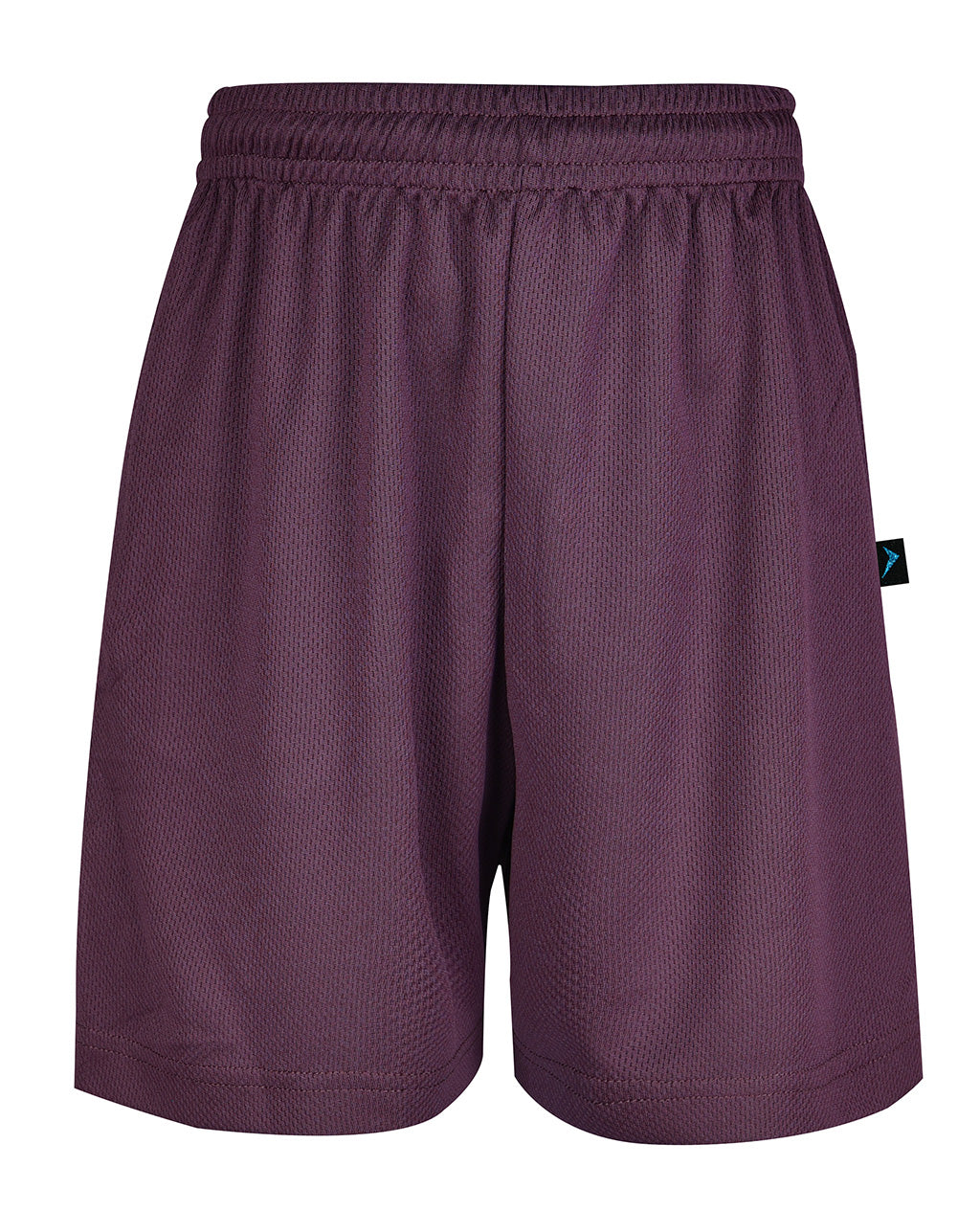 Mesh Sport Shorts