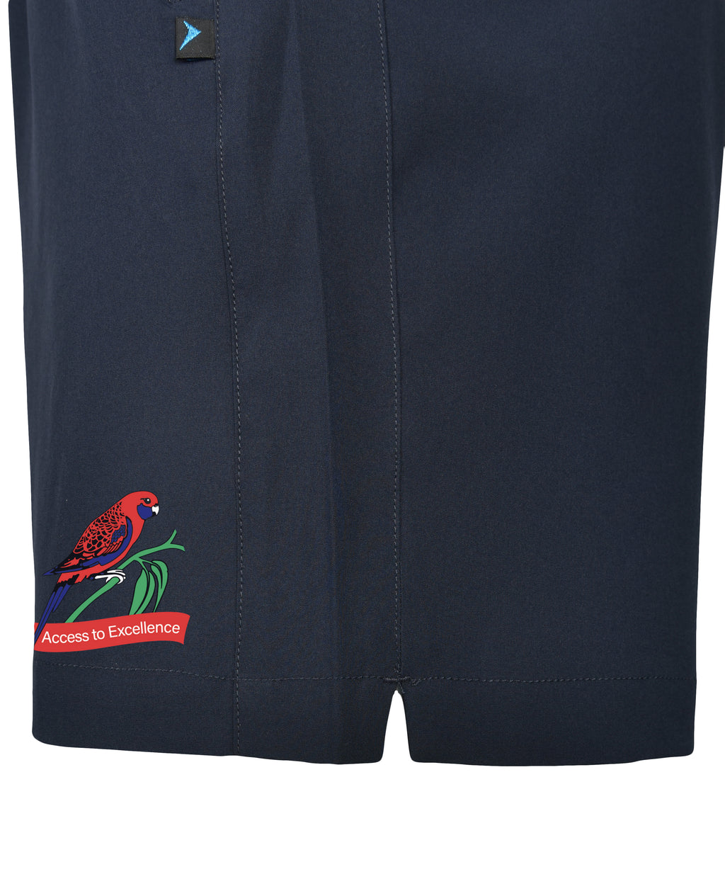 Stretch Microfibre Shorts