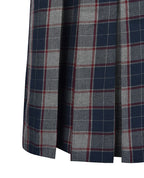 Winter Skirt