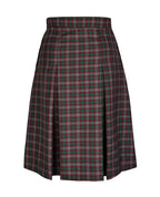 Winter Skirt