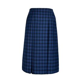 Winter Skirt