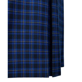 Winter Skirt