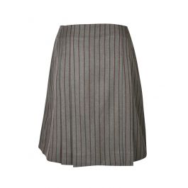 Pleated Winter Skirt