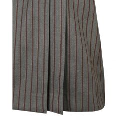 Pleated Winter Skirt