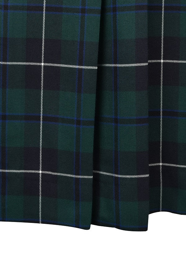 Pleated Skirt - Calf Length
