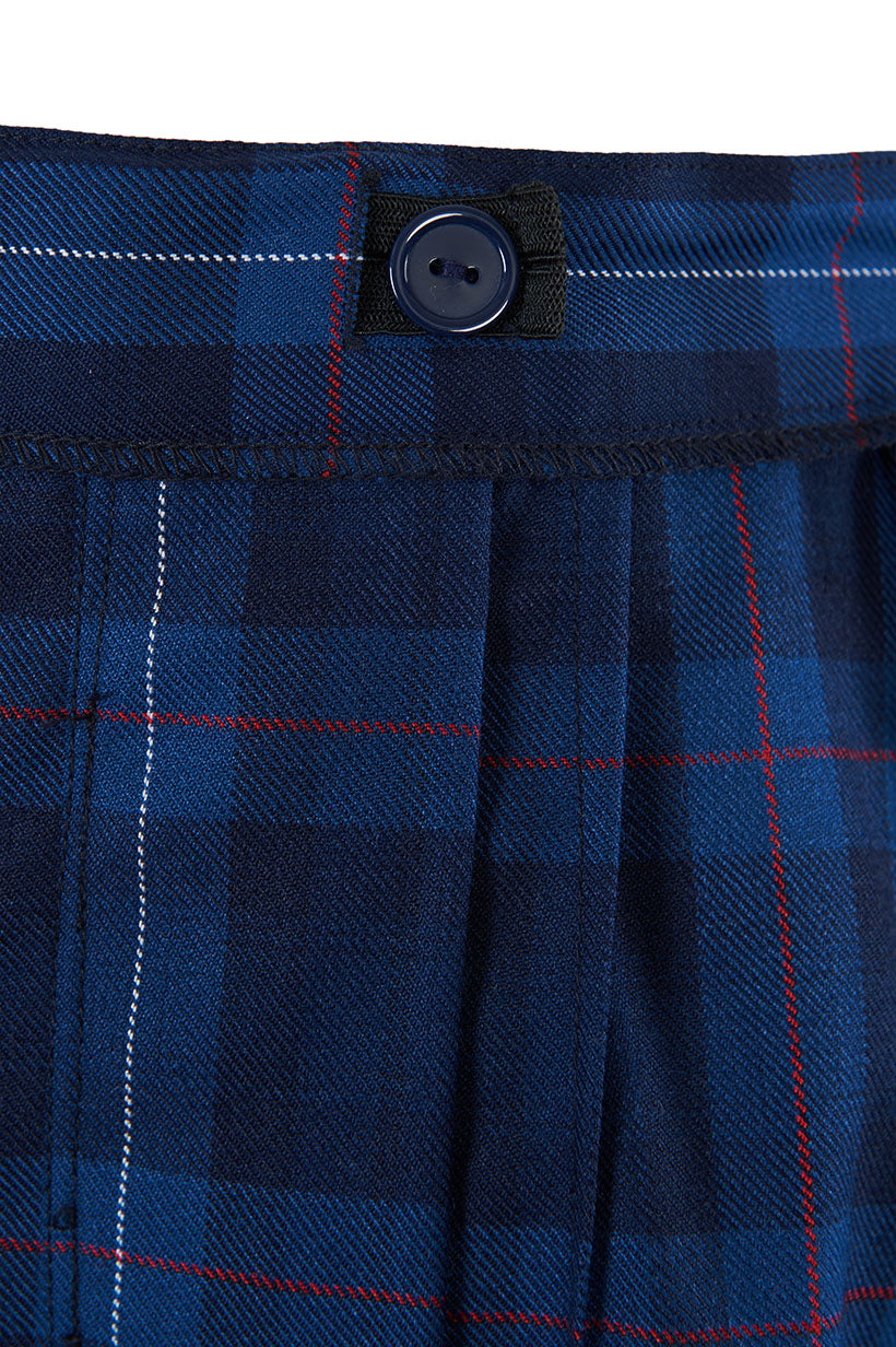 Pleated Skirt