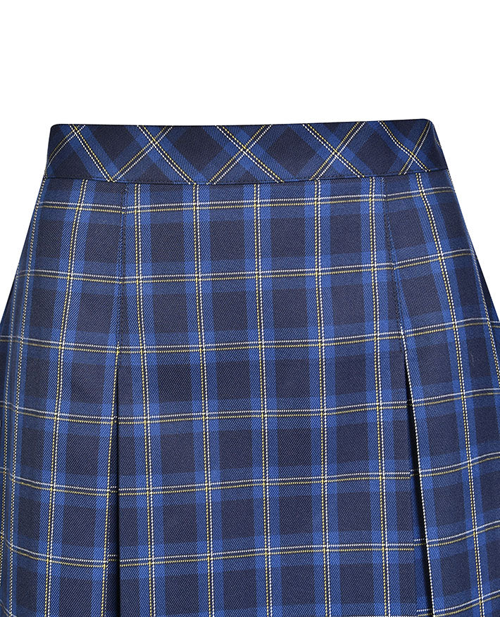 Pleated Skirt - Mid Calf Length