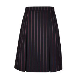 Box Pleat Skirt