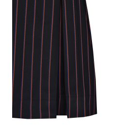 Box Pleat Skirt