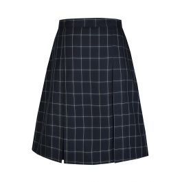 Box Pleat Skirt