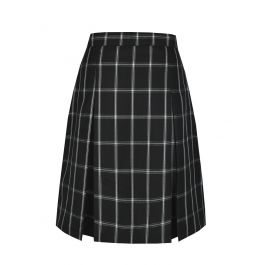 Box Pleat Skirt