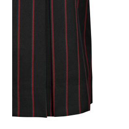 Box Pleat Skirt