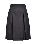 Winter Skirt