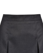 Winter Skirt