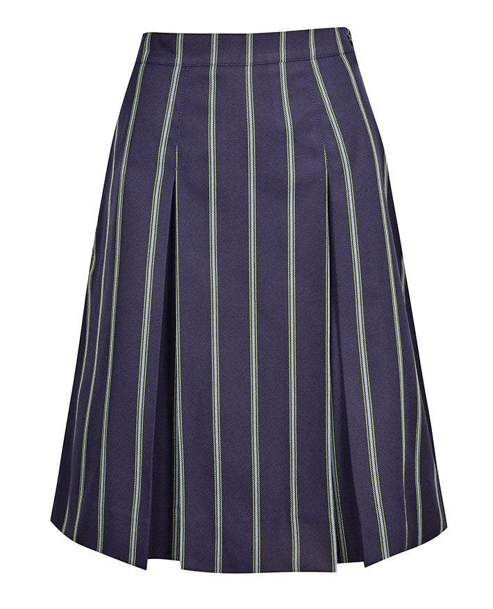 Winter Skirt