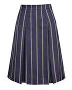 Winter Skirt