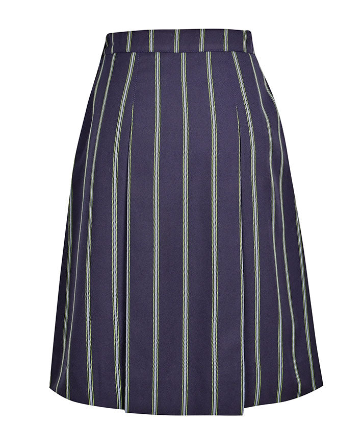 Winter Skirt