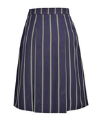 Winter Skirt