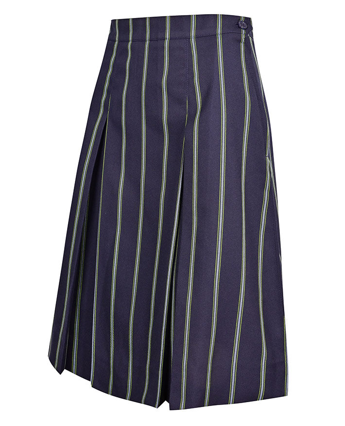 Winter Skirt