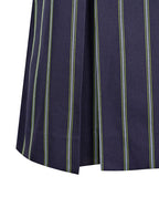 Winter Skirt