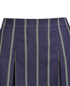 Winter Skirt