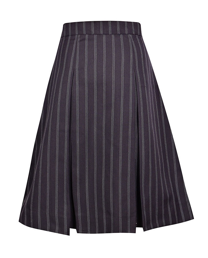 Winter Skirt
