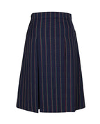 Winter Skirt