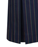 Winter Skirt