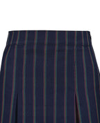 Winter Skirt