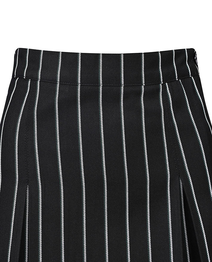 Winter Skirt