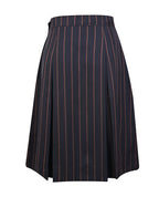 Winter Skirt