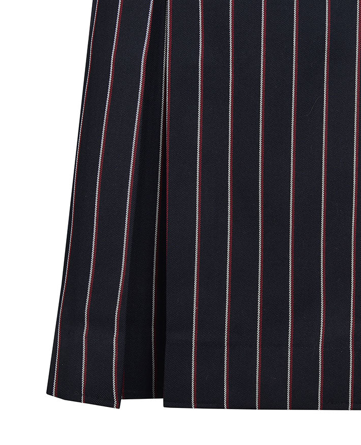 Winter Pleated Skirt
