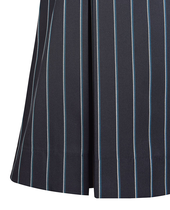 Winter Pleated Skirt