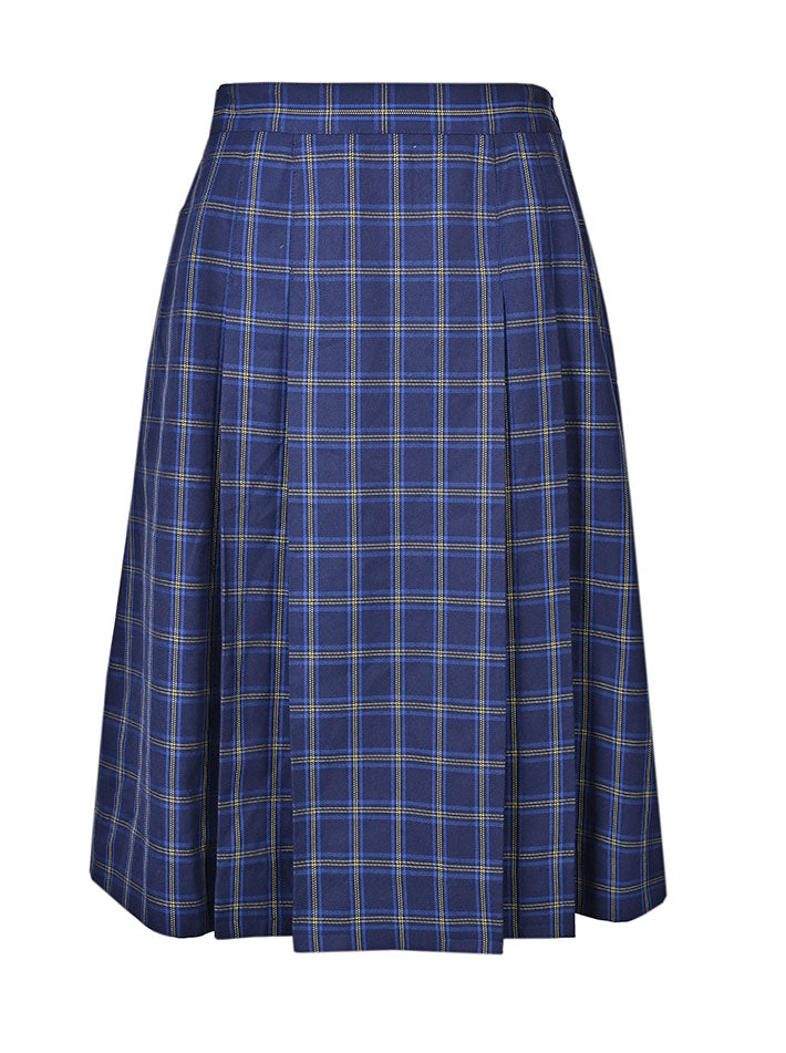 Pleated Lined Skirt
