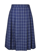 Pleated Lined Skirt
