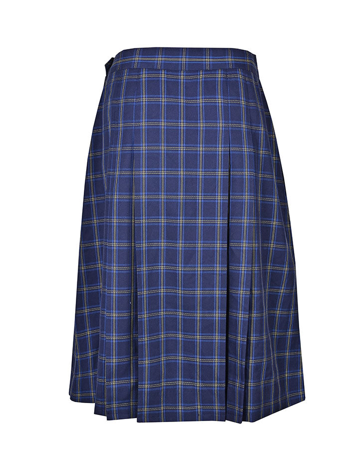 Pleated Lined Skirt