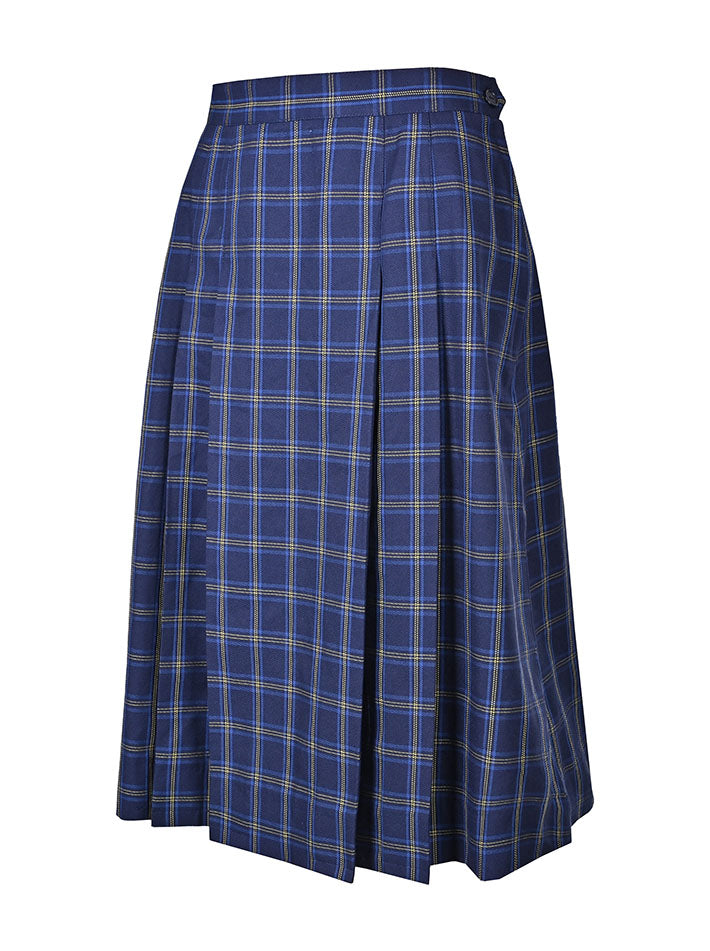 Pleated Lined Skirt