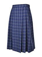 Pleated Lined Skirt