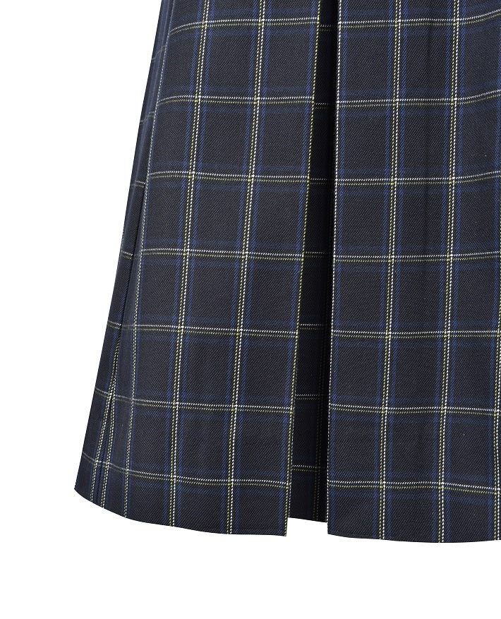 Calf Length Tunic with Pleated Skirt